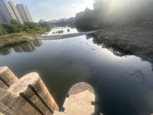 वाकड येथील मुळा नदी मोठ्या प्रमाणात दूषित झाल्याचे छायाचित्र 